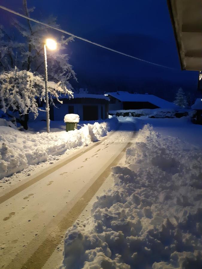 Alpska Roza Kranjska Gora Exterior foto