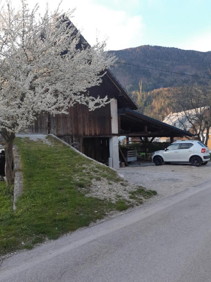 Alpska Roza Kranjska Gora Exterior foto