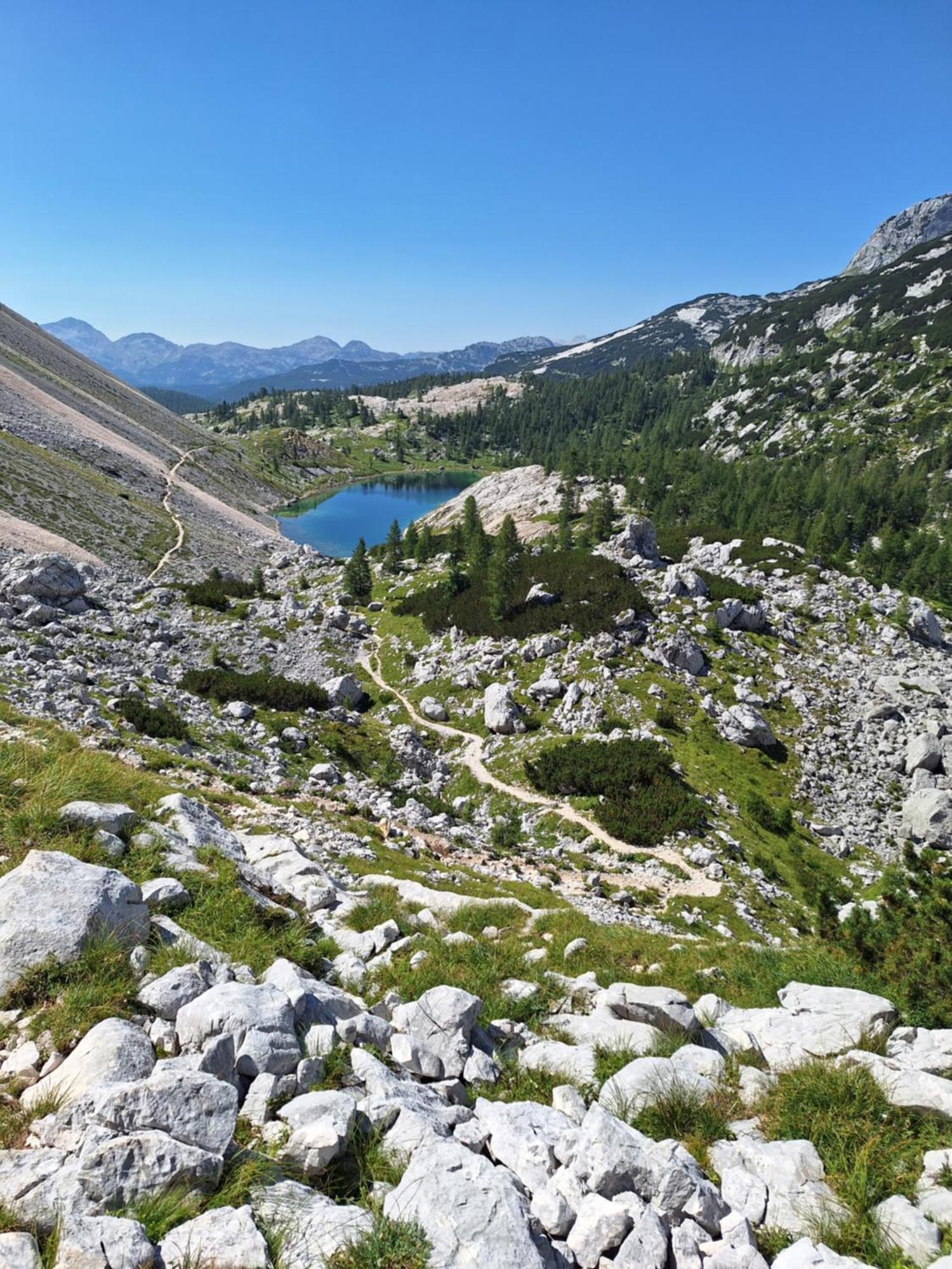 Alpska Roza Kranjska Gora Exterior foto